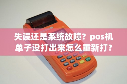 失误还是系统故障？pos机单子没打出来怎么重新打？