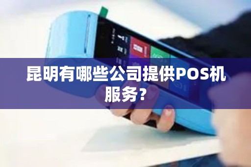 昆明有哪些公司提供POS机服务？
