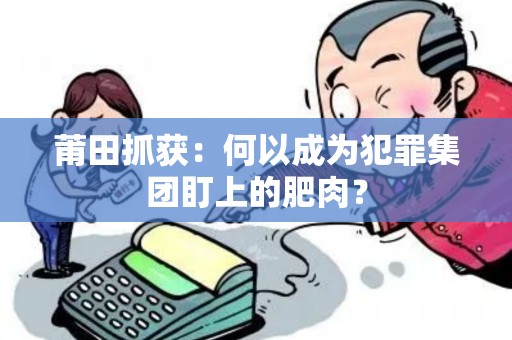 莆田抓获：何以成为犯罪集团盯上的肥肉？