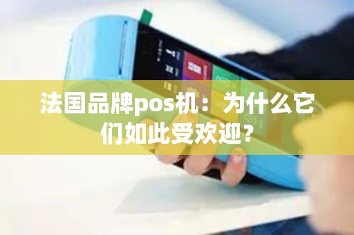 法国品牌pos机：为什么它们如此受欢迎？