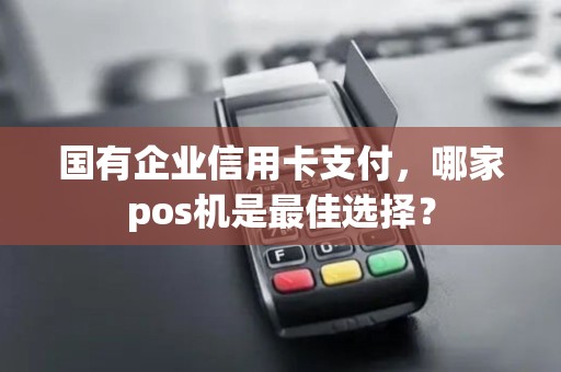 国有企业信用卡支付，哪家pos机是最佳选择？