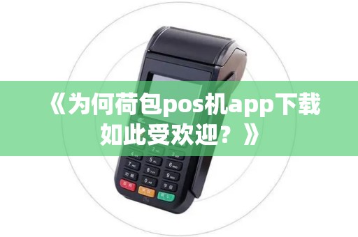 《为何荷包pos机app下载如此受欢迎？》