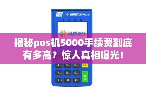 揭秘pos机5000手续费到底有多高？惊人真相曝光！