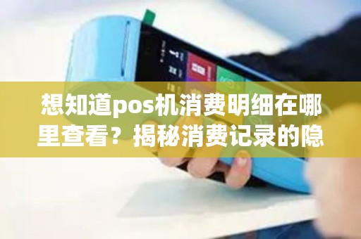 想知道pos机消费明细在哪里查看？揭秘消费记录的隐藏秘密！