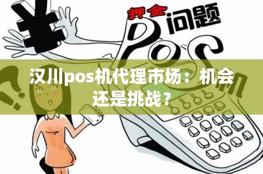 汉川pos机代理市场：机会还是挑战？