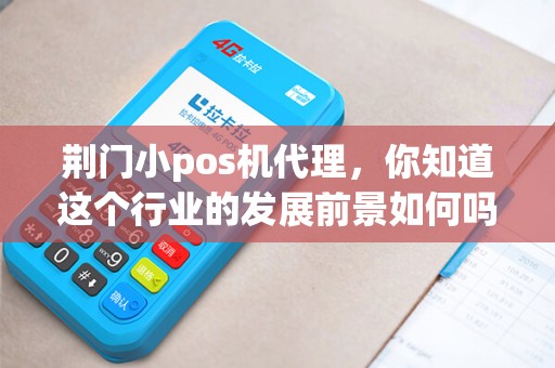 荆门小pos机代理，你知道这个行业的发展前景如何吗？