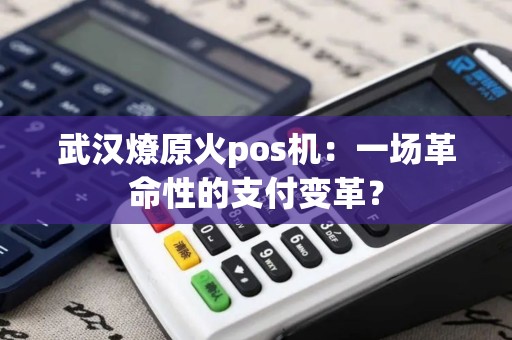 武汉燎原火pos机：一场革命性的支付变革？