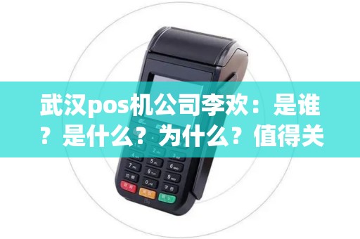 武汉pos机公司李欢：是谁？是什么？为什么？值得关注的背后故事