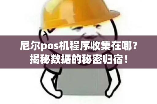 尼尔pos机程序收集在哪？揭秘数据的秘密归宿！