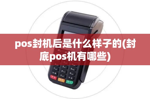 pos封机后是什么样子的(封底pos机有哪些)