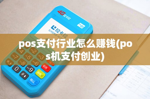 pos支付行业怎么赚钱(pos机支付创业)