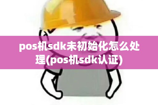 pos机sdk未初始化怎么处理(pos机sdk认证)