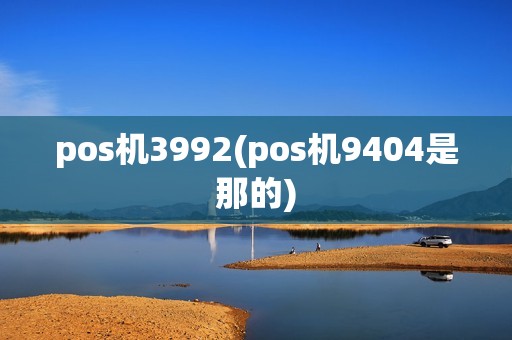 pos机3992(pos机9404是那的)