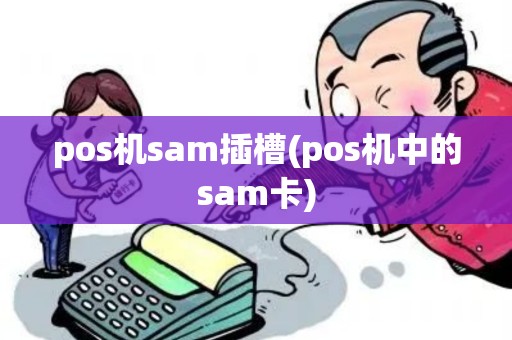 pos机sam插槽(pos机中的sam卡)