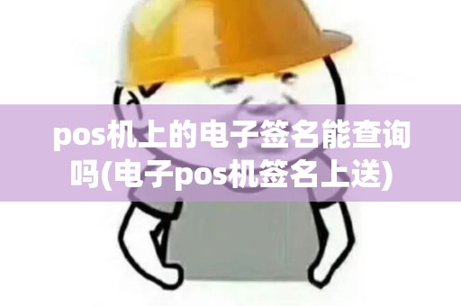 pos机上的电子签名能查询吗(电子pos机签名上送)