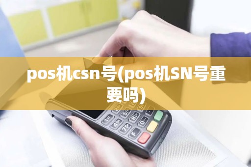 pos机csn号(pos机SN号重要吗)