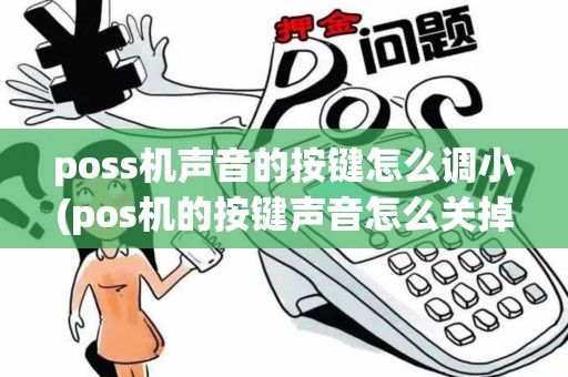 poss机声音的按键怎么调小(pos机的按键声音怎么关掉)