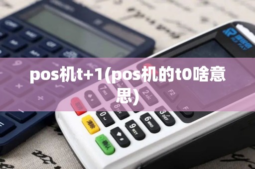 pos机t+1(pos机的t0啥意思)