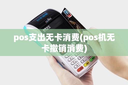 pos支出无卡消费(pos机无卡撤销消费)
