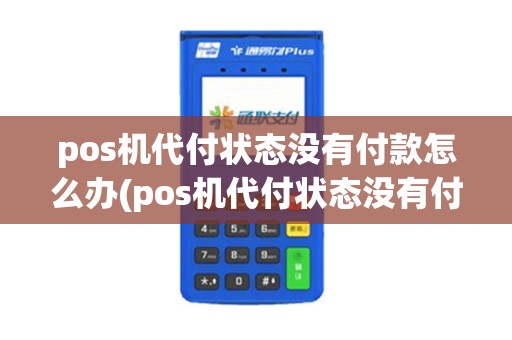 pos机代付状态没有付款怎么办(pos机代付状态没有付款)