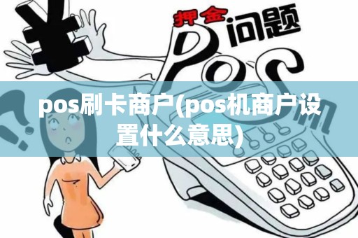 pos刷卡商户(pos机商户设置什么意思)