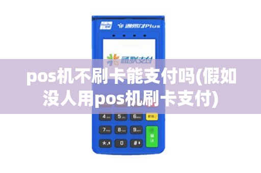 pos机不刷卡能支付吗(假如没人用pos机刷卡支付)