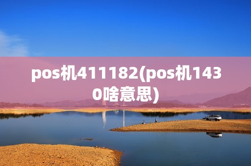 pos机411182(pos机1430啥意思)