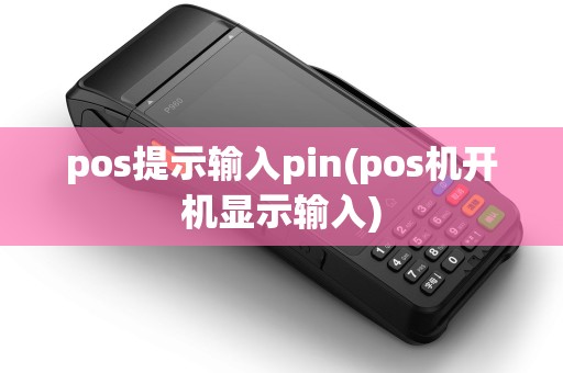 pos提示输入pin(pos机开机显示输入)