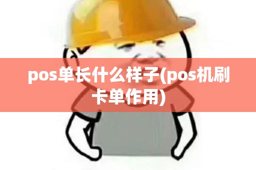pos单长什么样子(pos机刷卡单作用)