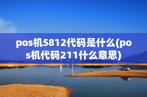 pos机5812代码是什么(pos机代码211什么意思)