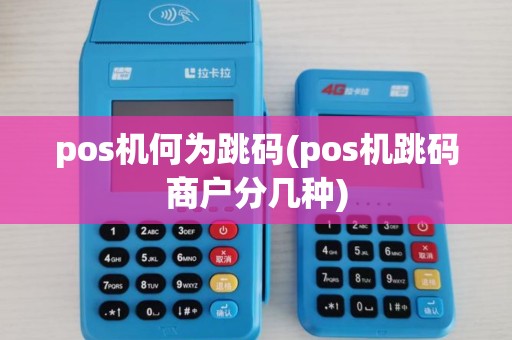 pos机何为跳码(pos机跳码商户分几种)