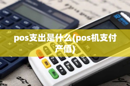 pos支出是什么(pos机支付产值)