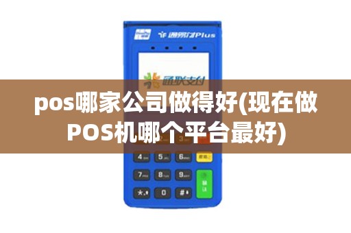 pos哪家公司做得好(现在做POS机哪个平台最好)