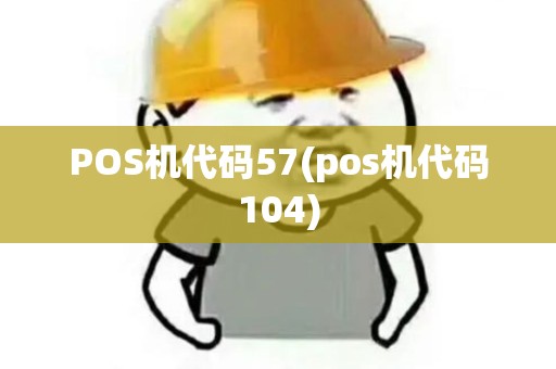 POS机代码57(pos机代码104)
