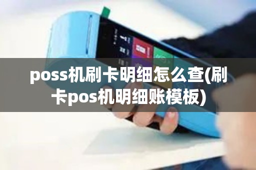 poss机刷卡明细怎么查(刷卡pos机明细账模板)