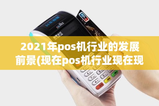 2021年pos机行业的发展前景(现在pos机行业现在现状)