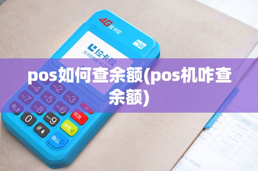pos如何查余额(pos机咋查余额)