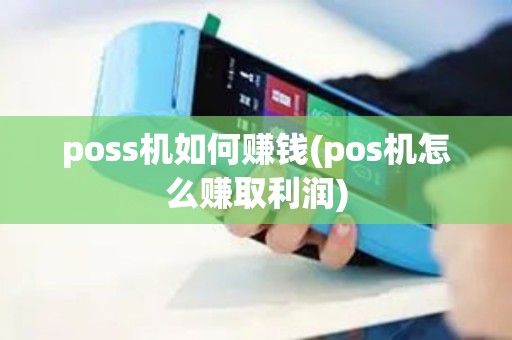 poss机如何赚钱(pos机怎么赚取利润)