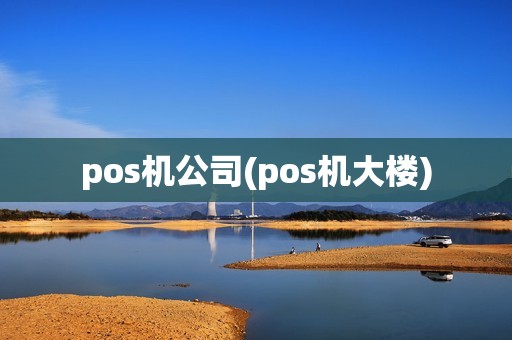 pos机公司(pos机大楼)