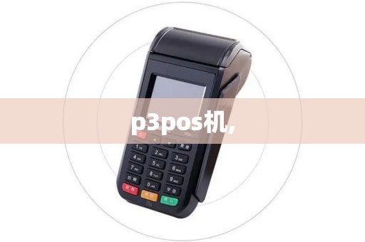 p3pos机,
