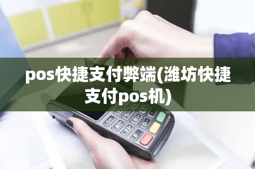 pos快捷支付弊端(潍坊快捷支付pos机)
