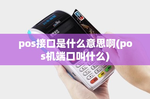 pos接口是什么意思啊(pos机端口叫什么)