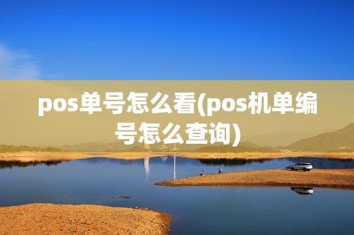 pos单号怎么看(pos机单编号怎么查询)