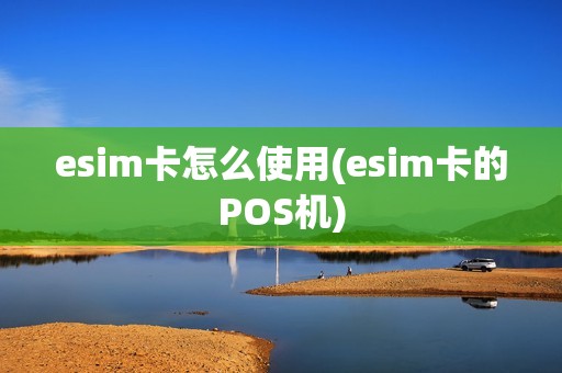 esim卡怎么使用(esim卡的POS机)