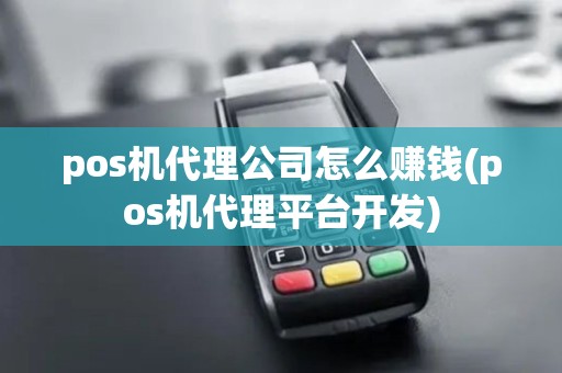 pos机代理公司怎么赚钱(pos机代理平台开发)