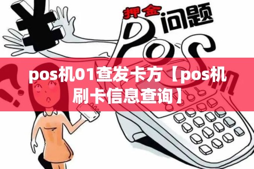 pos机01查发卡方【pos机刷卡信息查询】