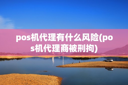 pos机代理有什么风险(pos机代理商被刑拘)