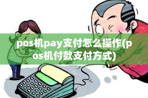 pos机pay支付怎么操作(pos机付款支付方式)