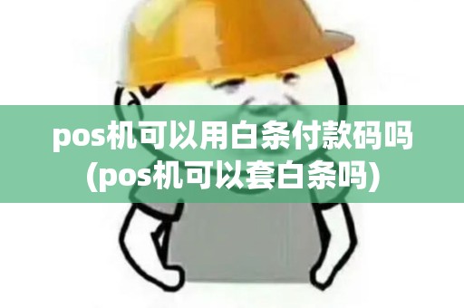 pos机可以用白条付款码吗(pos机可以套白条吗)