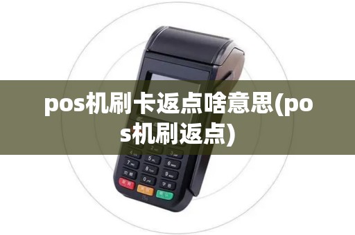 pos机刷卡返点啥意思(pos机刷返点)